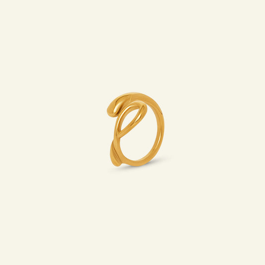 Ring - Loop