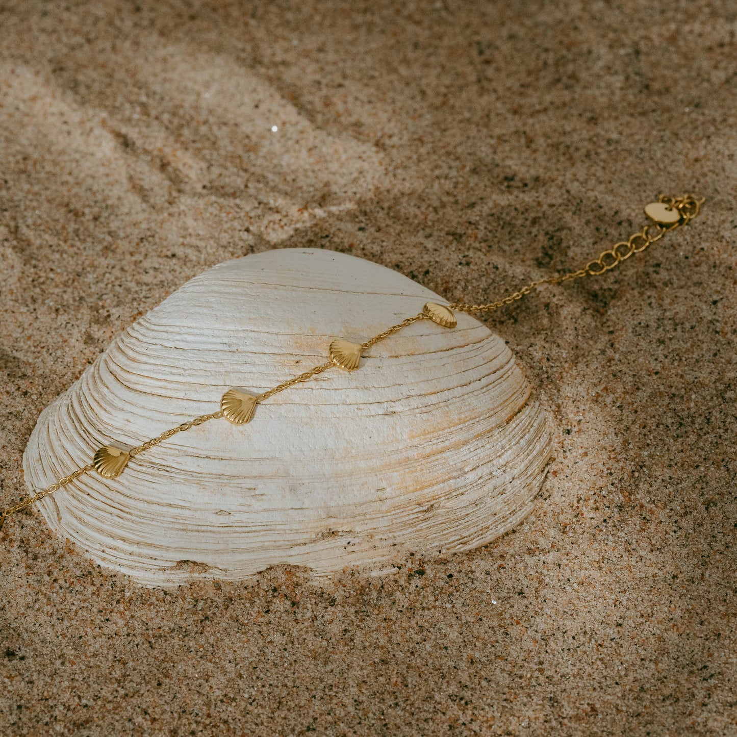 Armband - Shimmering Shells